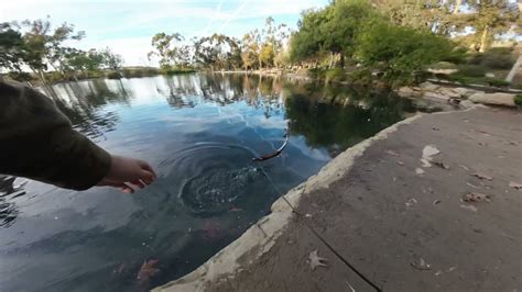 fish paradise|Discover Fishing Bliss at Kenneth Hahn State Recreation Area.